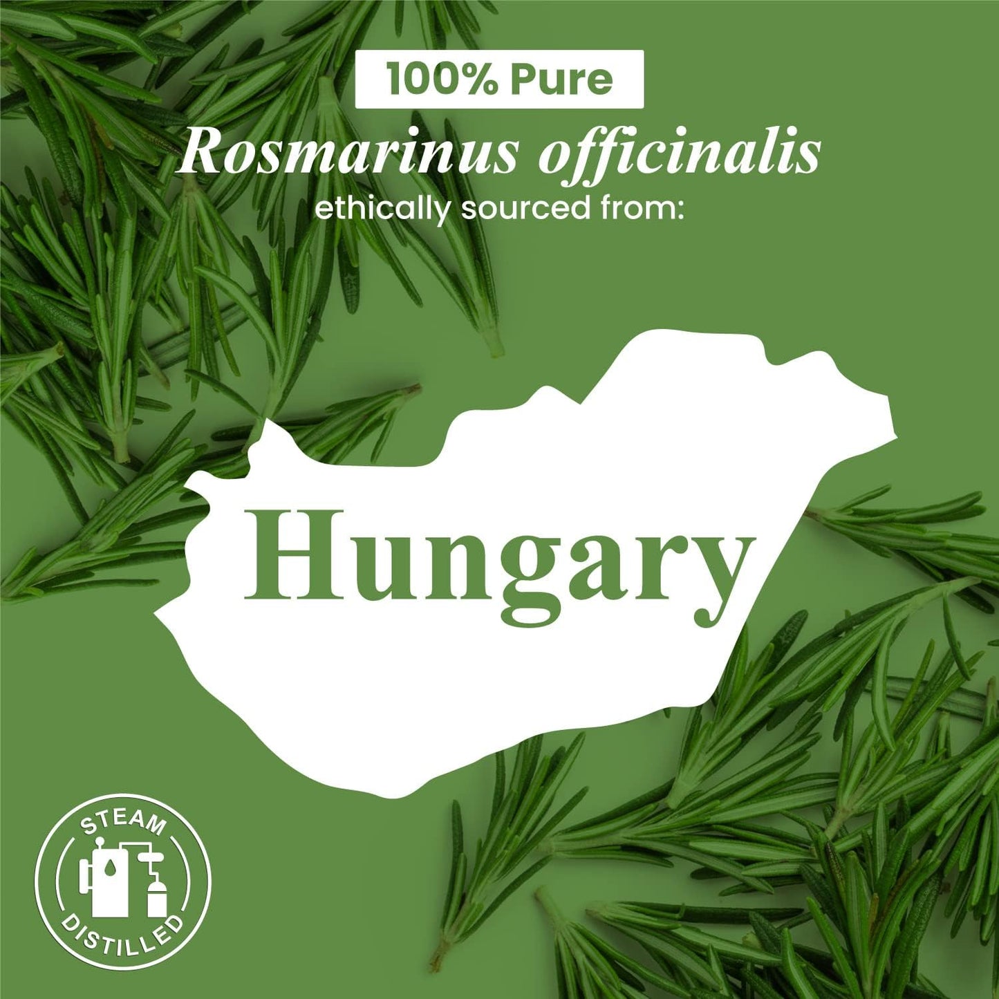 Premium 4 Fl Oz Rosemary Essential Oil - 100% Pure & Natural for Diffuser and Aromatherapy